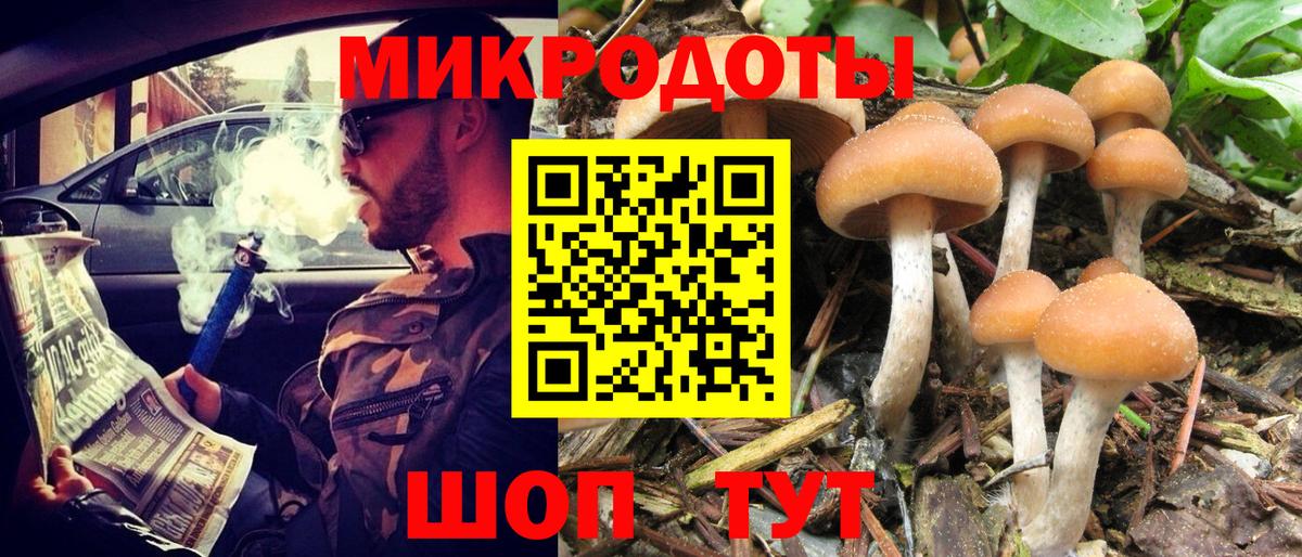 Псилоцибиновые грибы прущие грибы Грязи